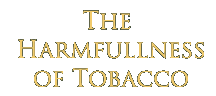 The Harmfullness of Tobacco